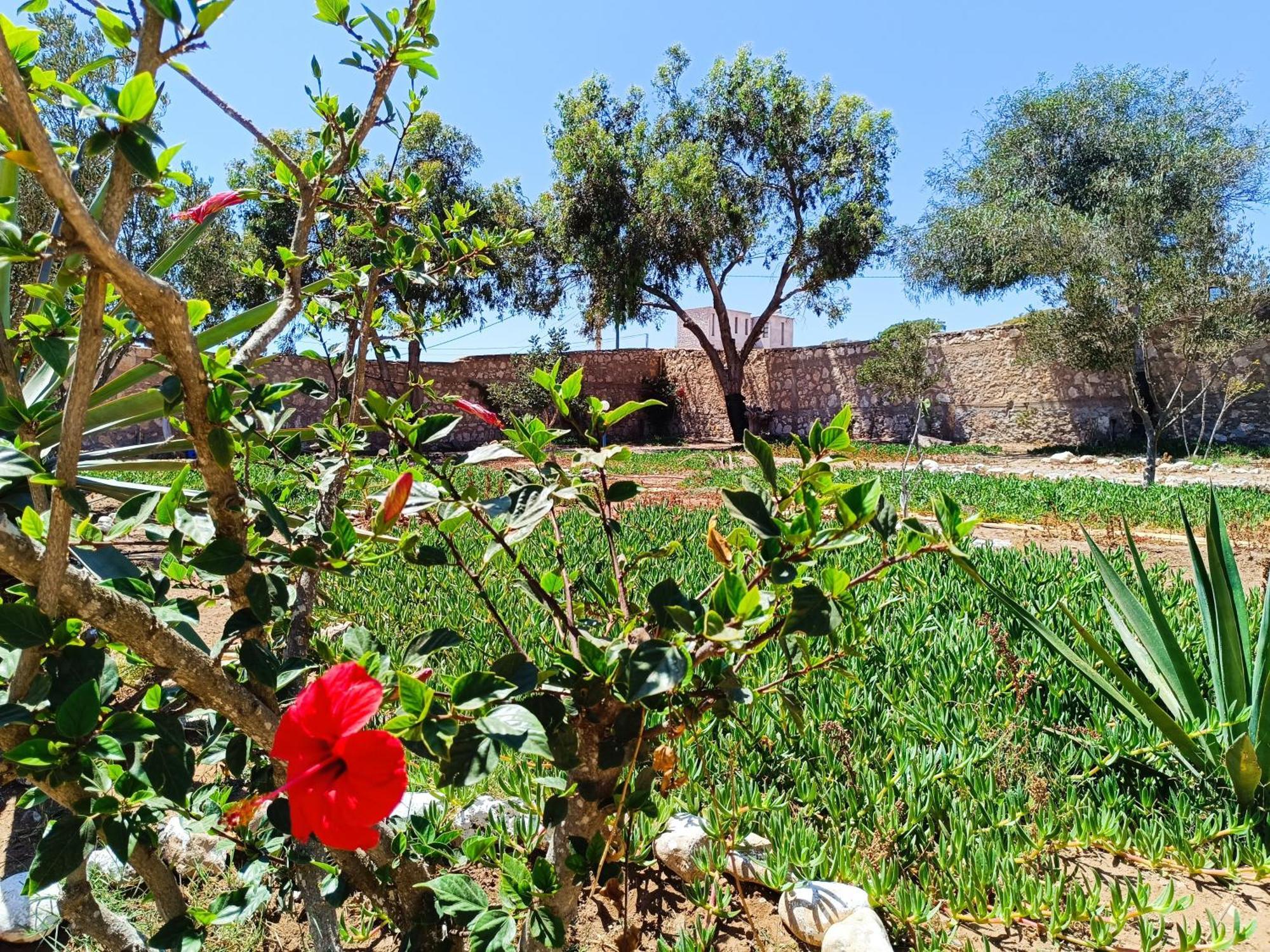 Ferienwohnung Dar Nezza Sidi Kaouki Exterior foto